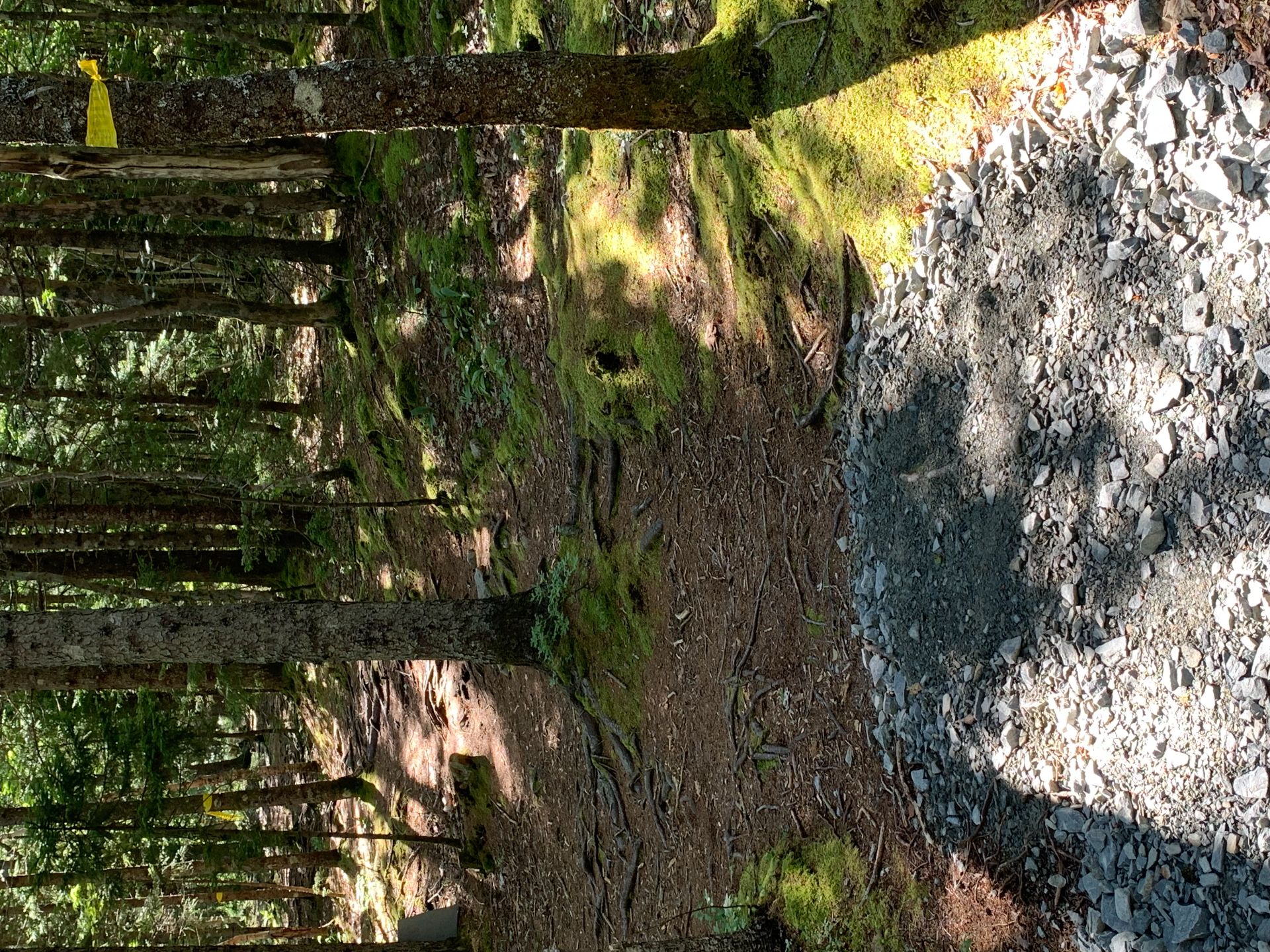 End of the Trail