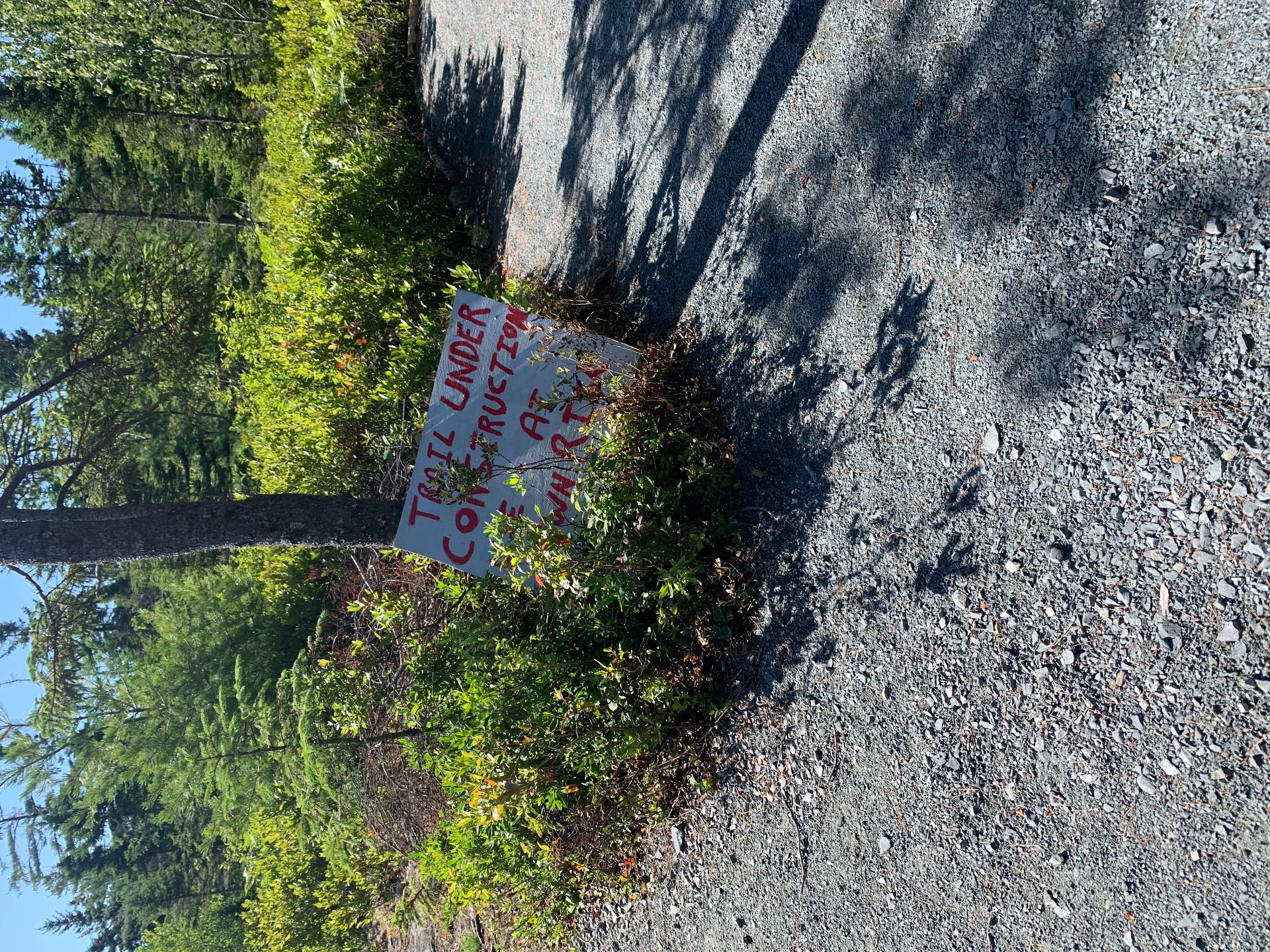 Trail Beginning