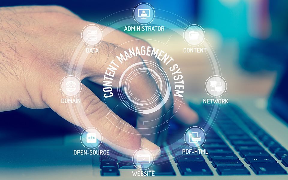 WordPress vs. Wix vs Squarespace vs immediaCMS: Choosing the Right Platform for Your Website