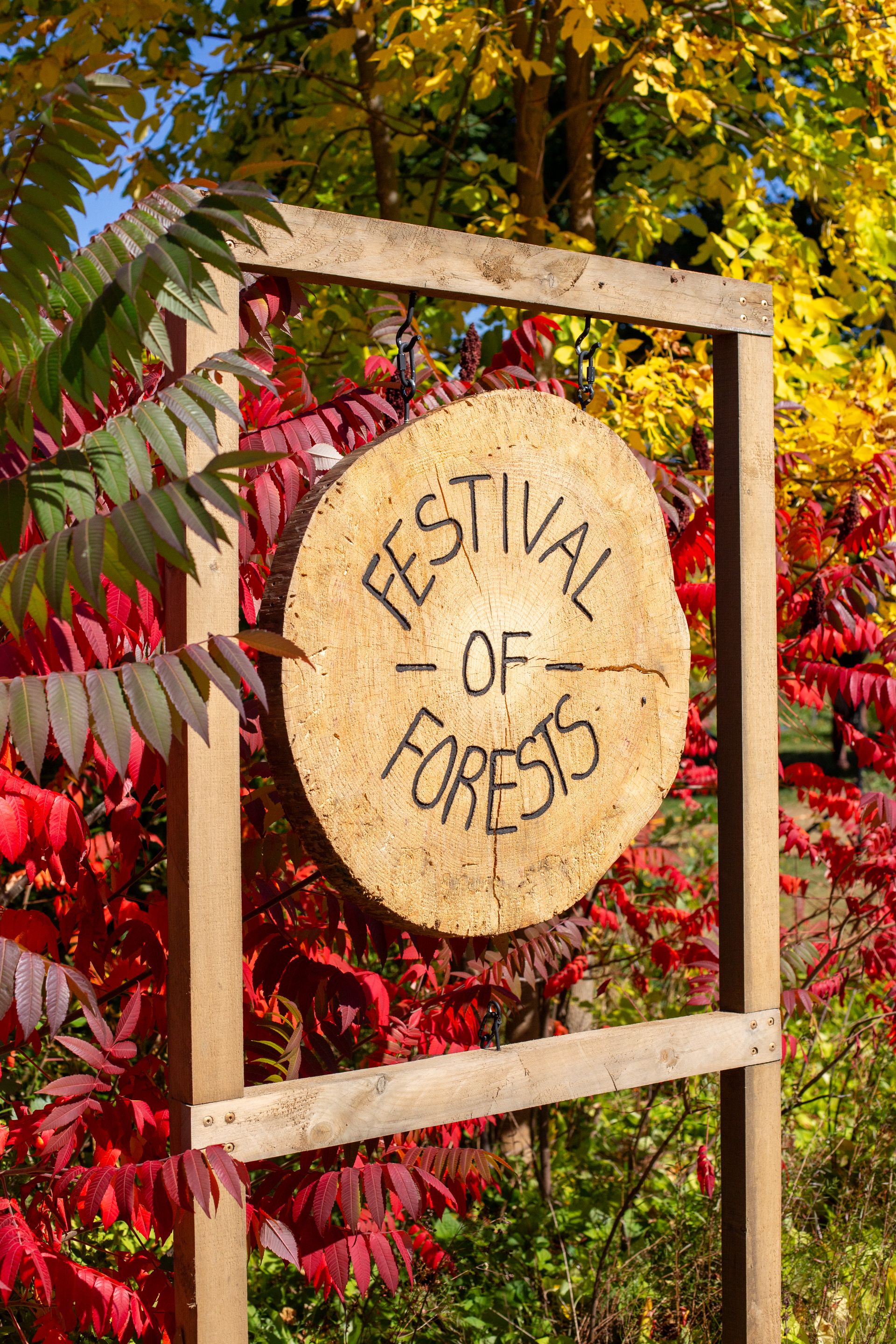 Festival of Forests
