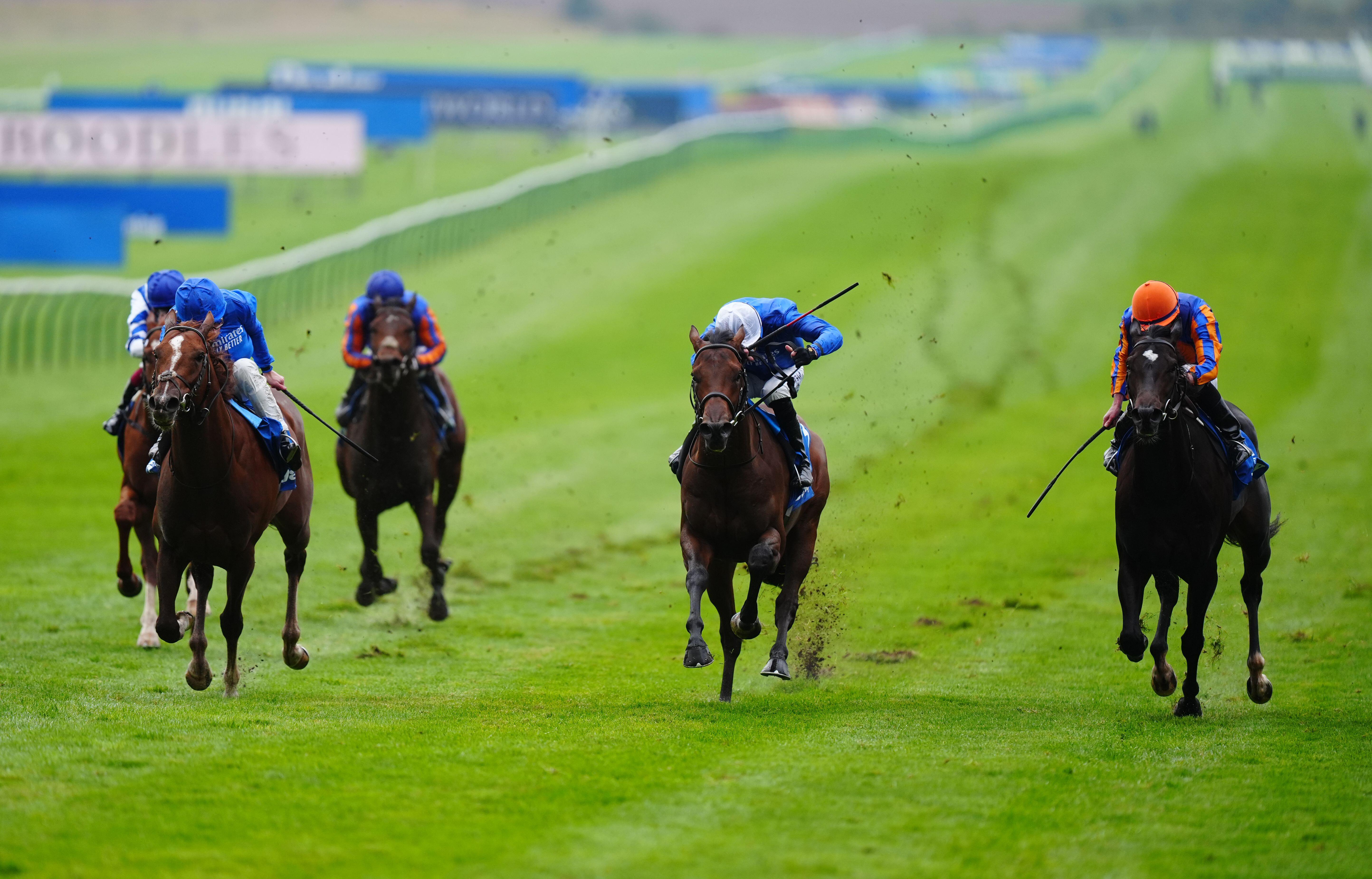 Shadow of Light (second left) won the Dewhurst Stakes from Expanded (far right) in August (Alamy) 