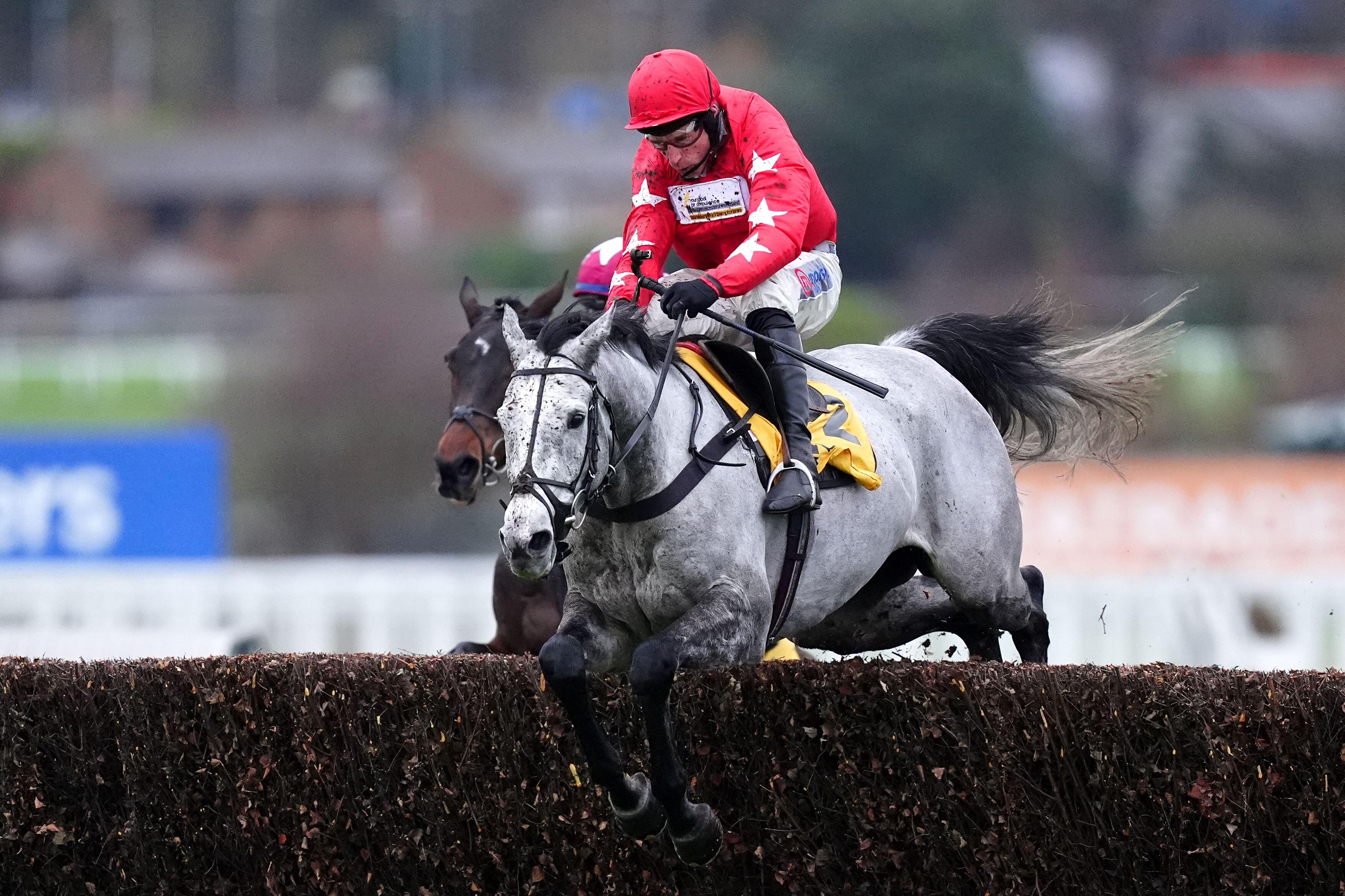 L'eau Du Sud must be a good each-way bet for the Arkle at this stage (Alamy)