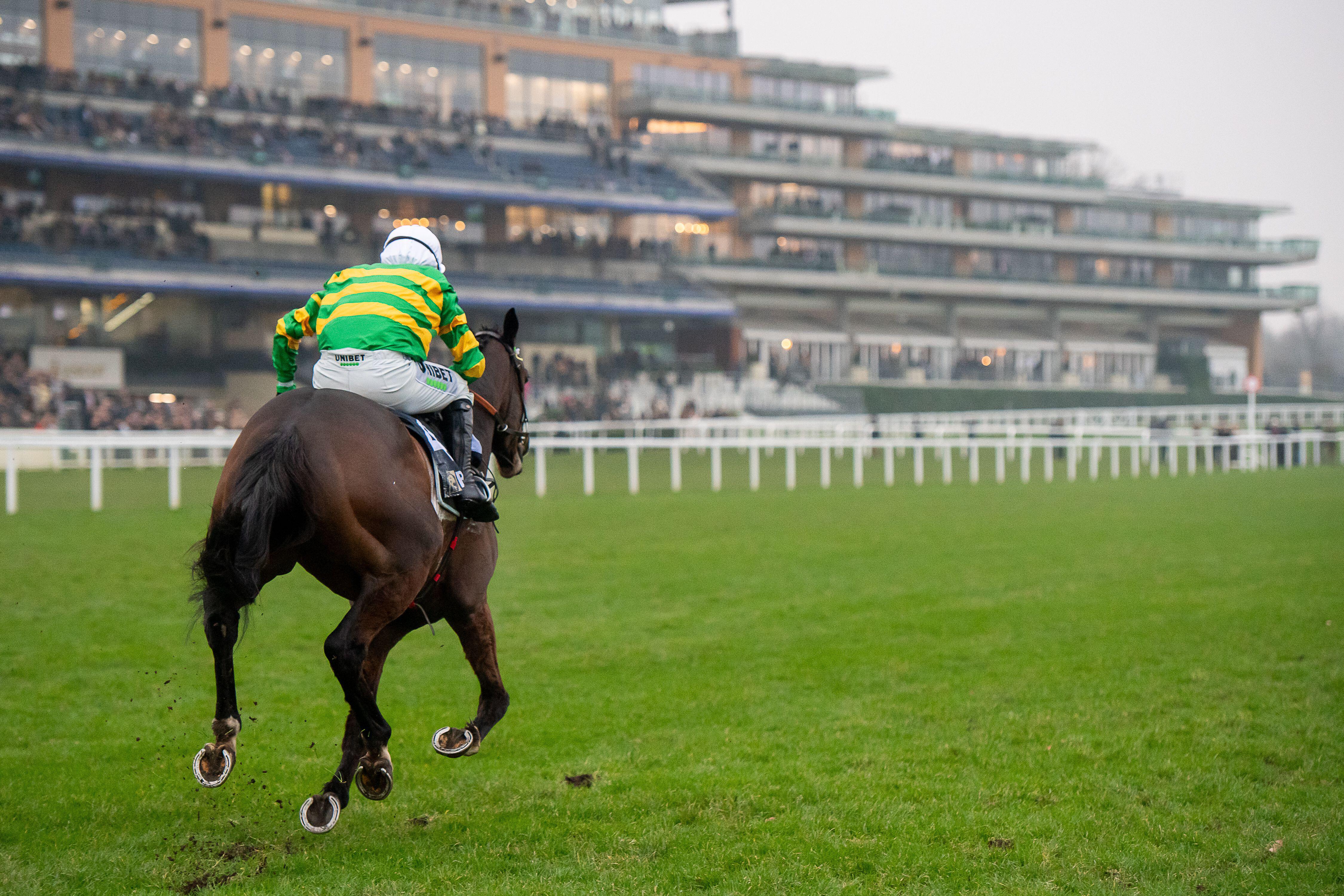 Jonbon will hope to stride on towards Champion Chase glory next month (Alamy)