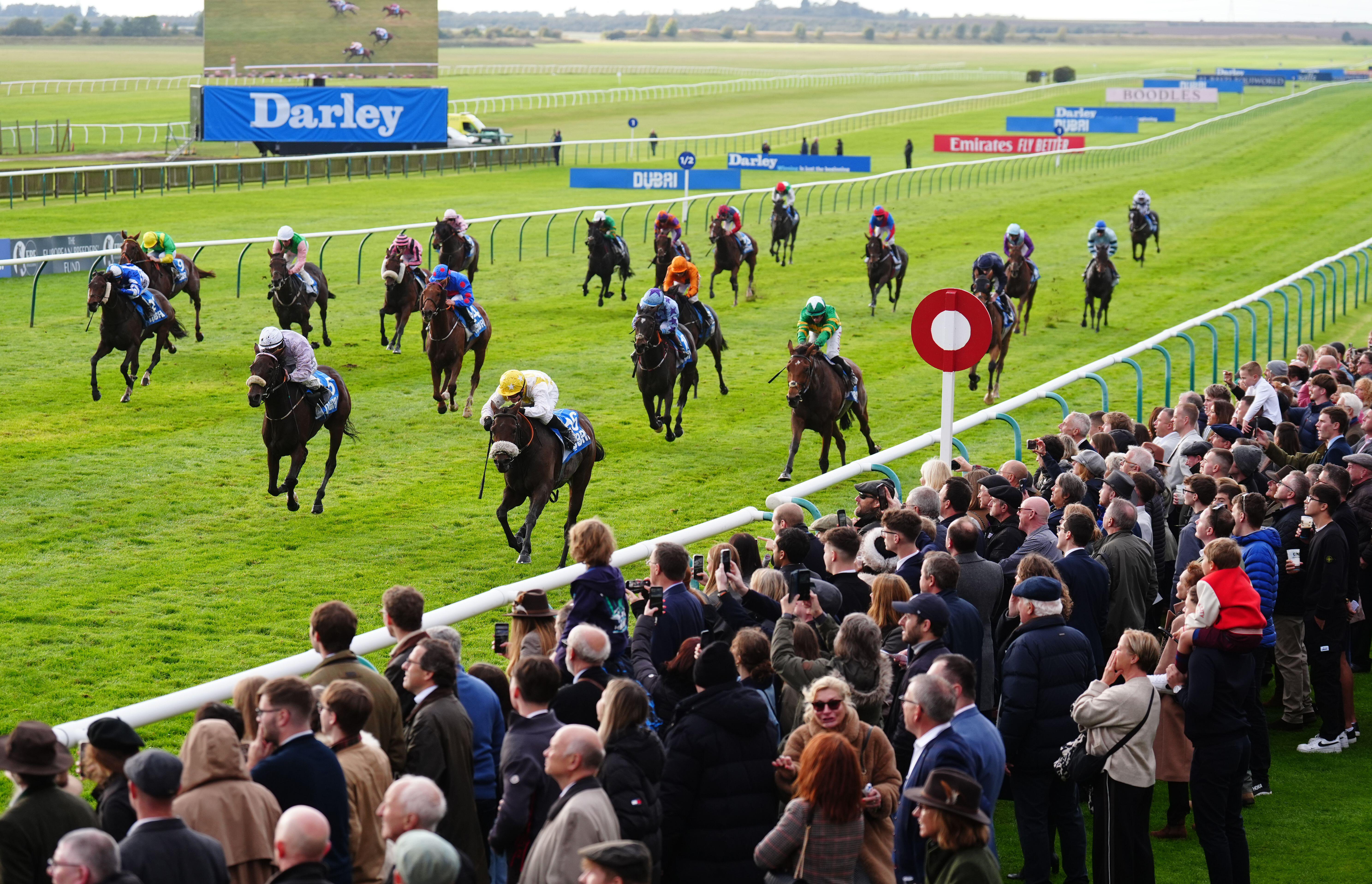 Saturday's Cesarewitch was marred by controversy relating to whip rules (Alamy)