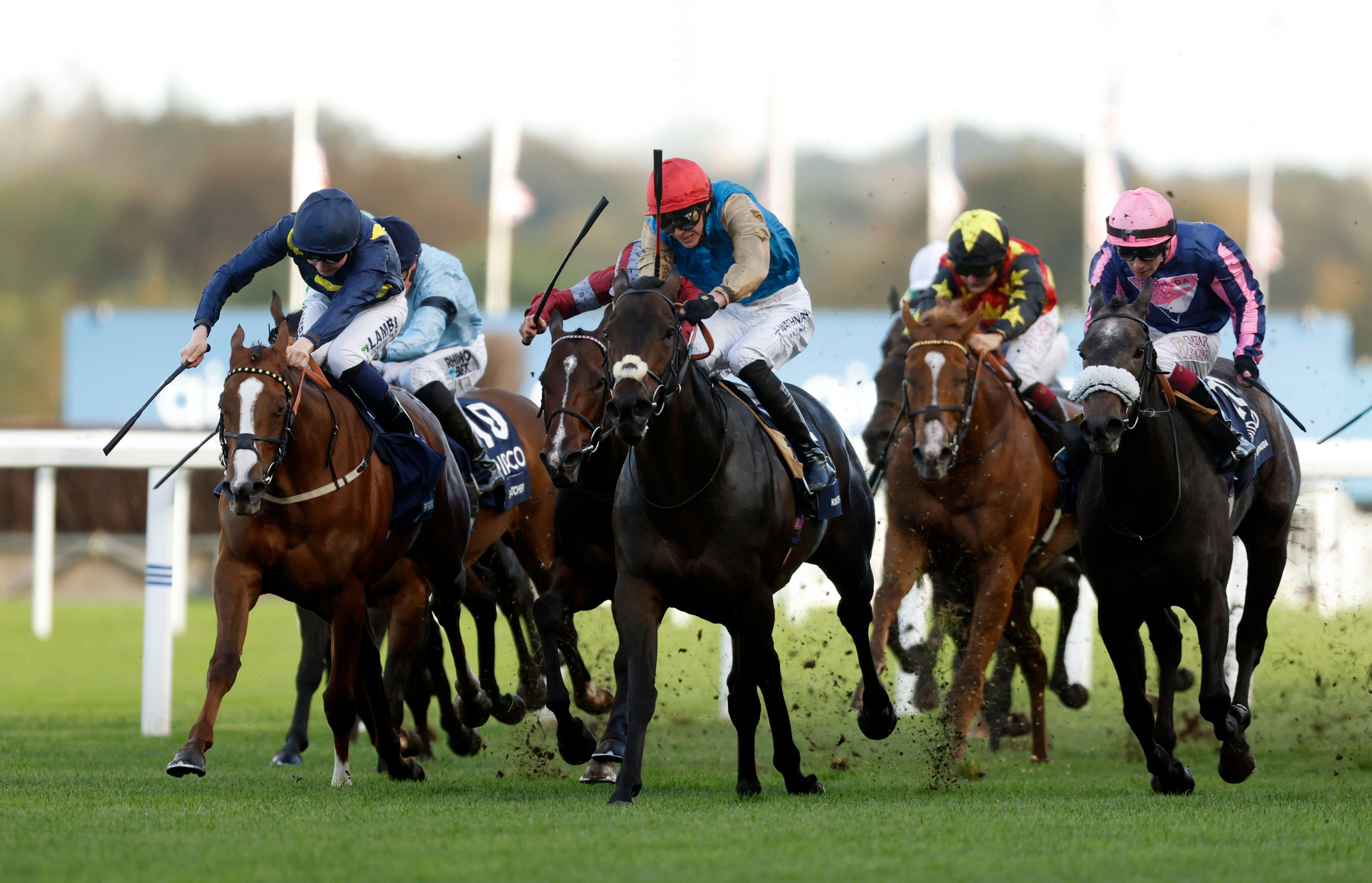 British Champions Day had its fair share of issues (Alamy)