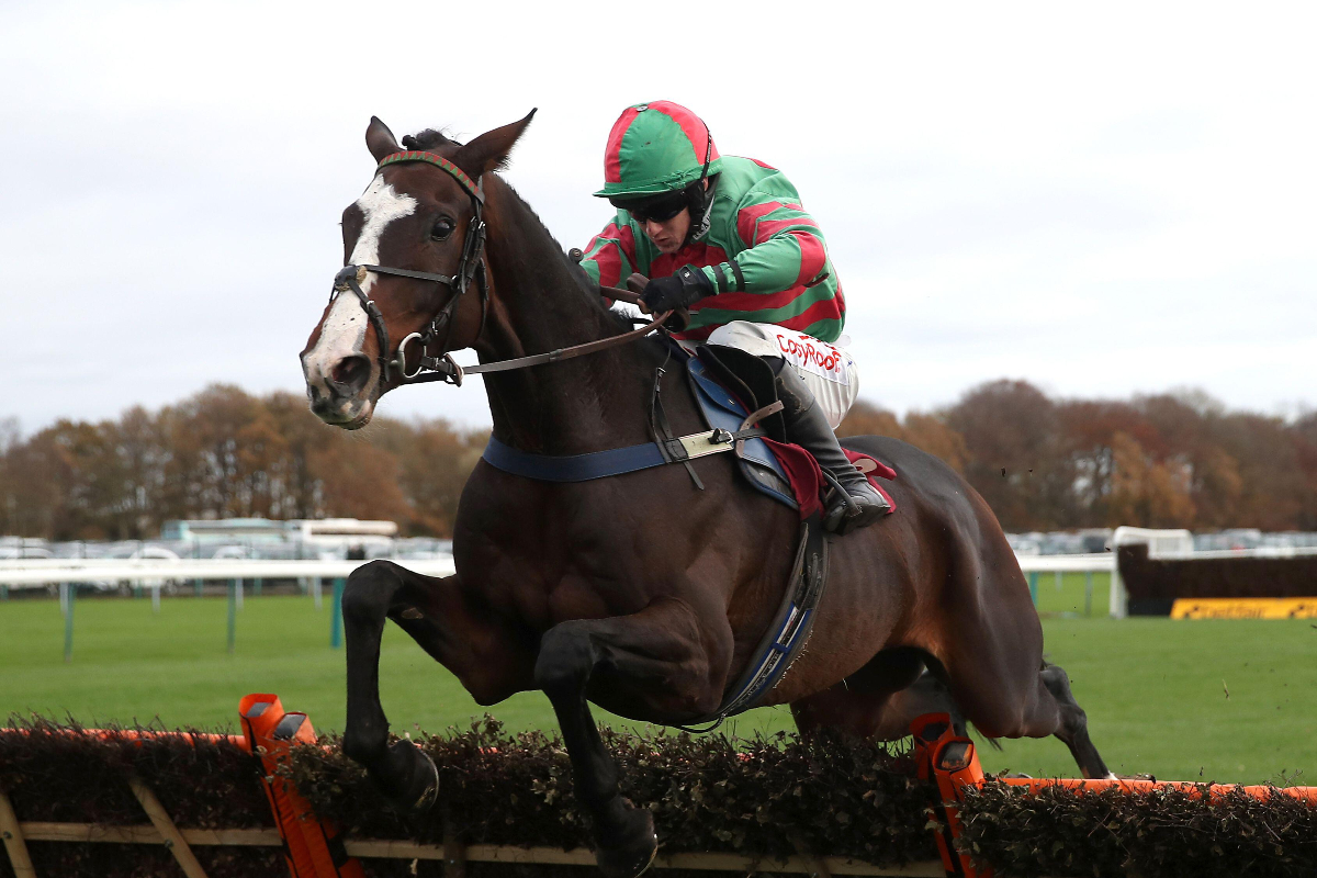 Tommy's Oscar has bee a wonderful servant for Ann Hamilton's yard