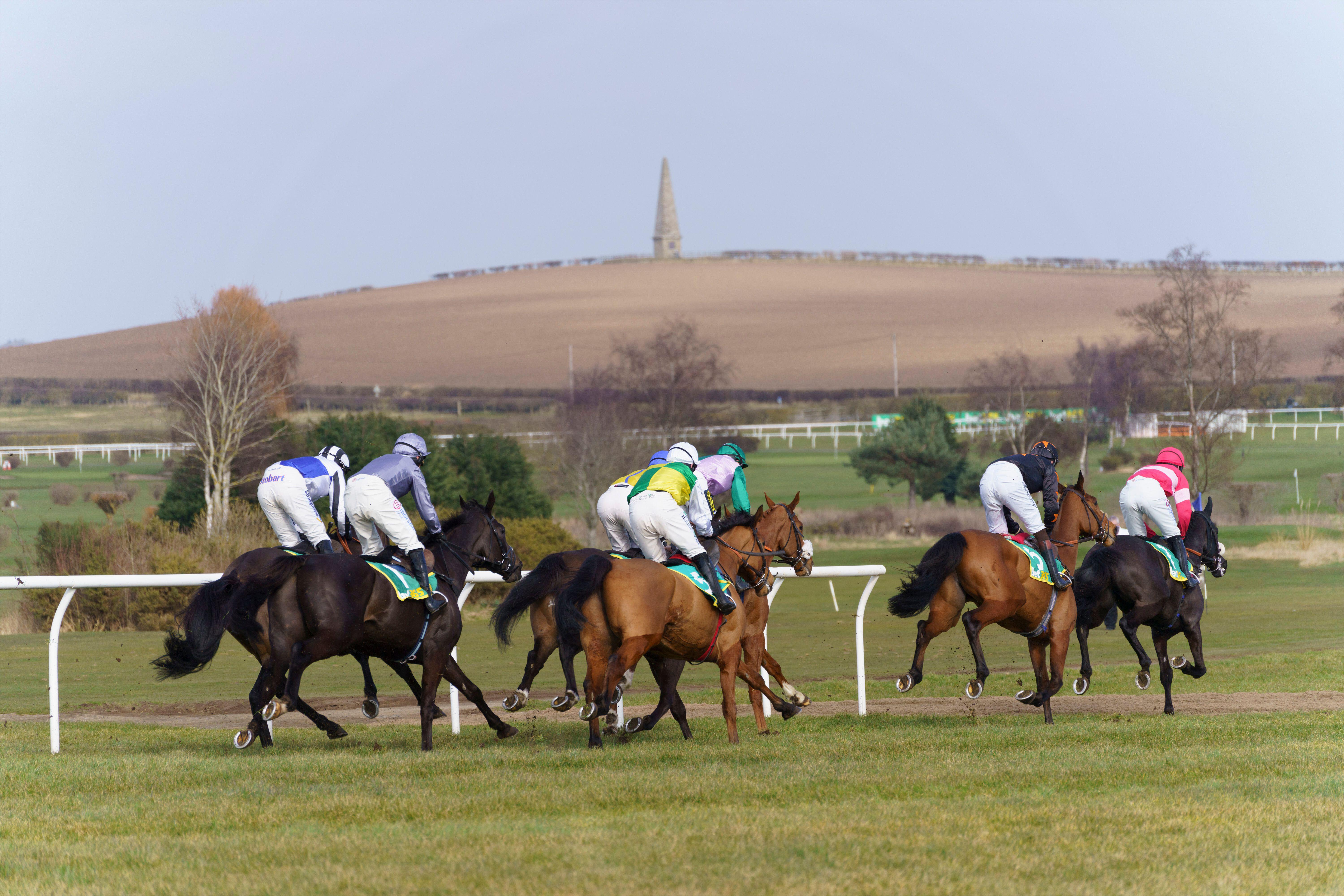 Kelso is a course which gives racegoers a fantastic experience (Alamy)